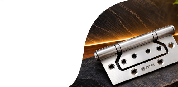 Butterfly Flush Hinges in India